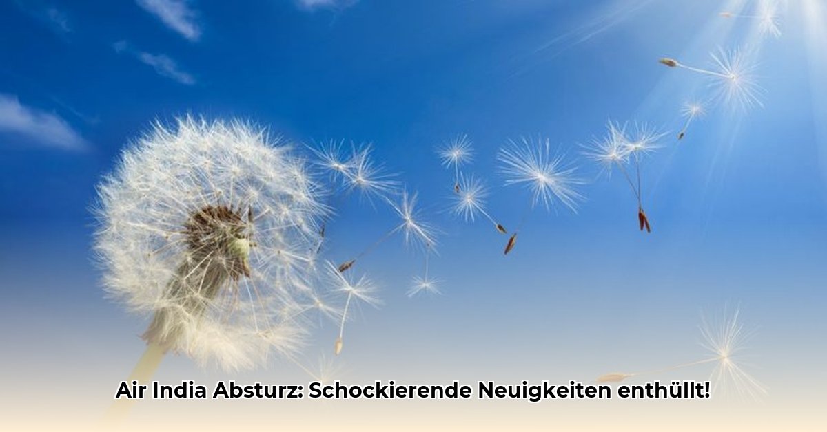 air-india-absturz
